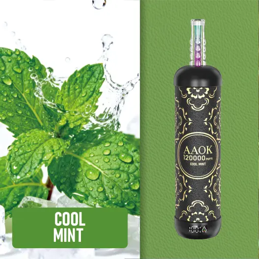 AAOKVAPE Y163 120000 Puffs Cool Mint Disposable Vape | WillVape