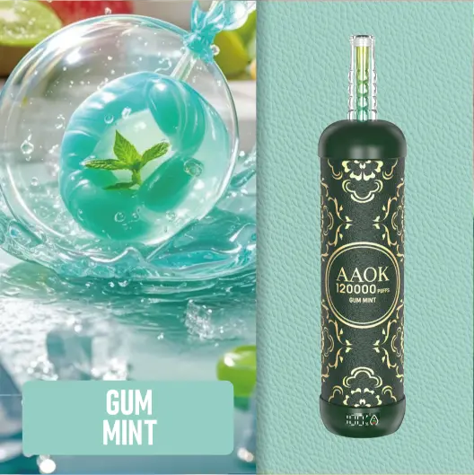 AAOKVAPE Y163 120000 Puffs Gum Mint Disposable Vape | WillVape